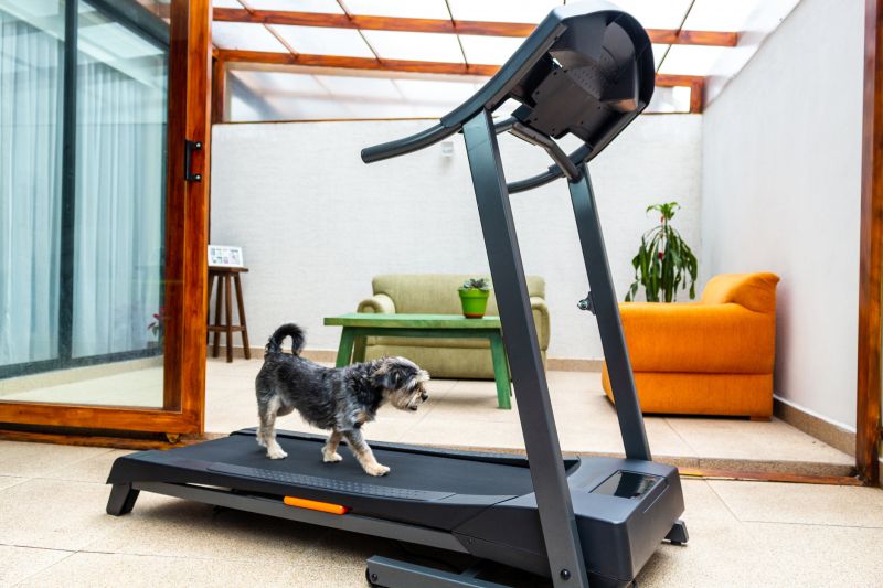 Cost of Treadmill Movers — Cost of Treadmill Movers